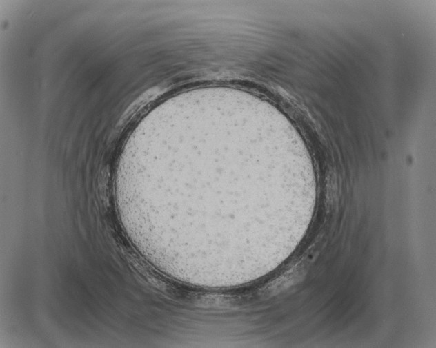 X0000085071265200704021401