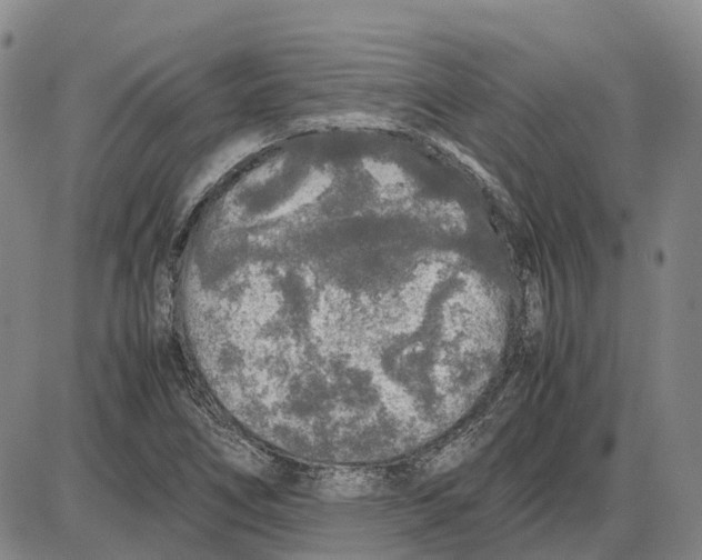 X0000085071266200704021401