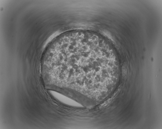 X0000085071267200704021401