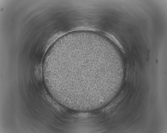 X0000085071268200704021401