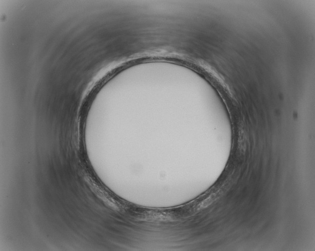 X0000085071270200704021401