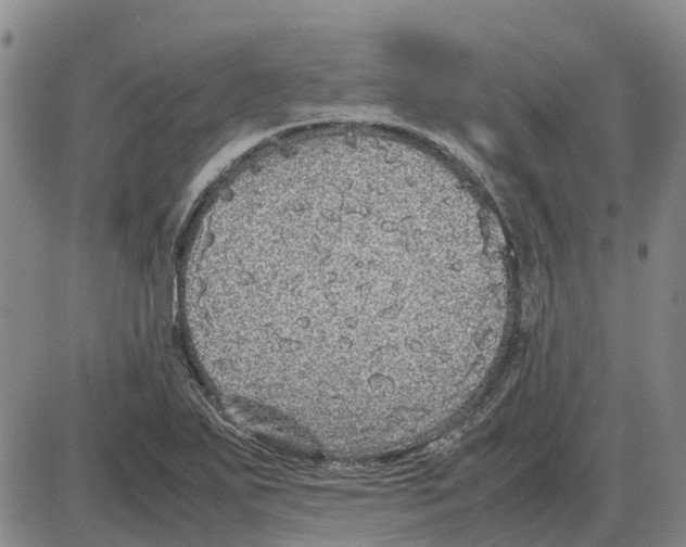 X0000085071271200704021401