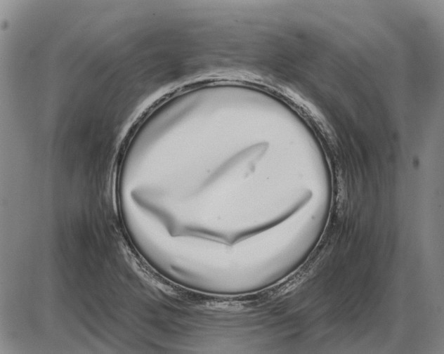 X0000085071272200704021401