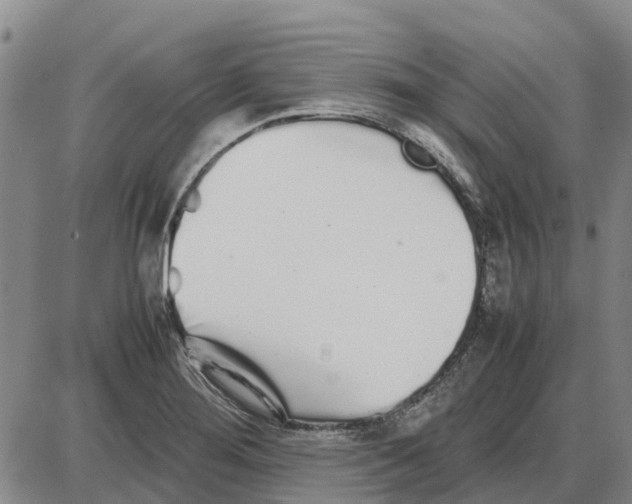 X0000085071276200704021401