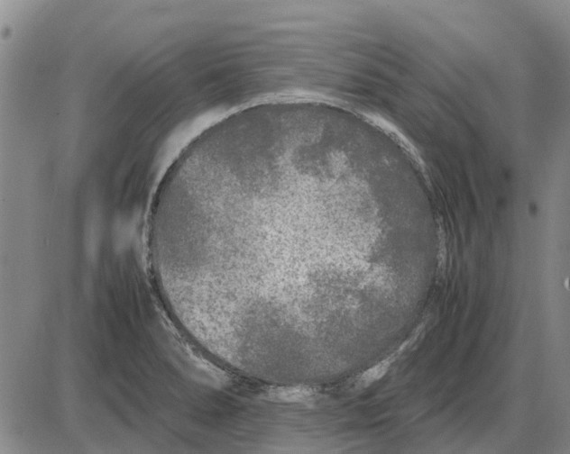 X0000085071278200704021401