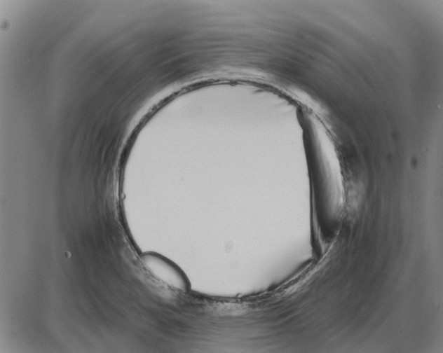 X0000085071280200704021401