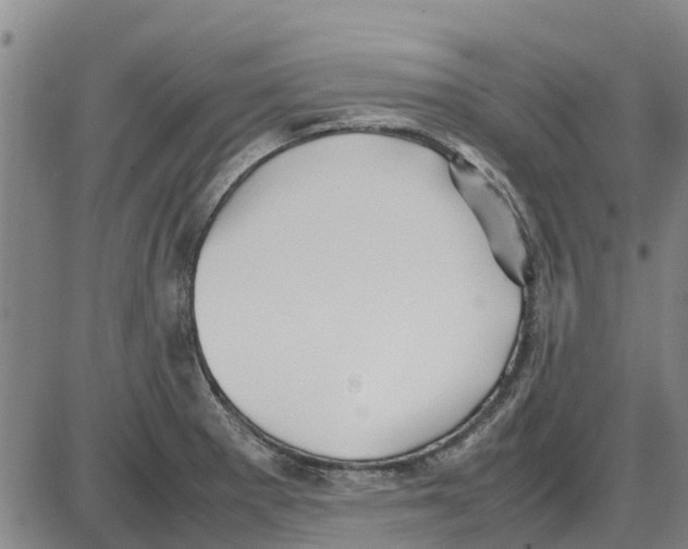 X0000085071281200704021401