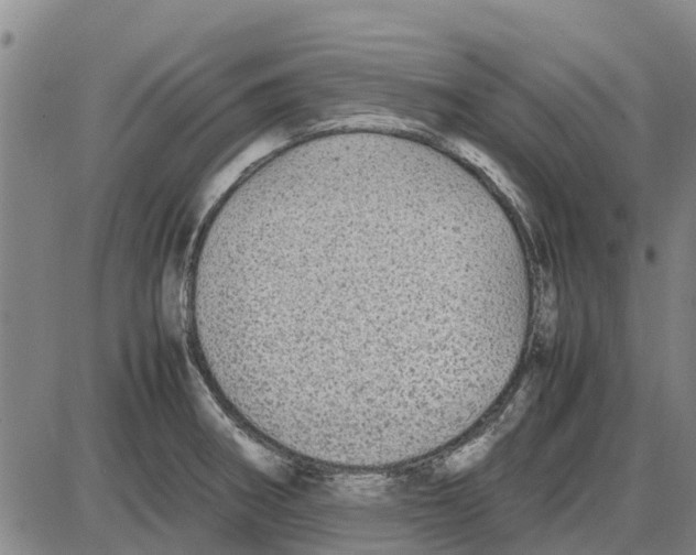 X0000085071282200704021401