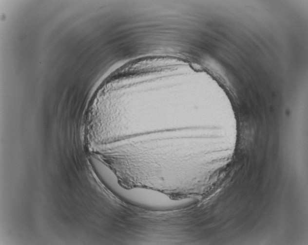 X0000085071284200704021401