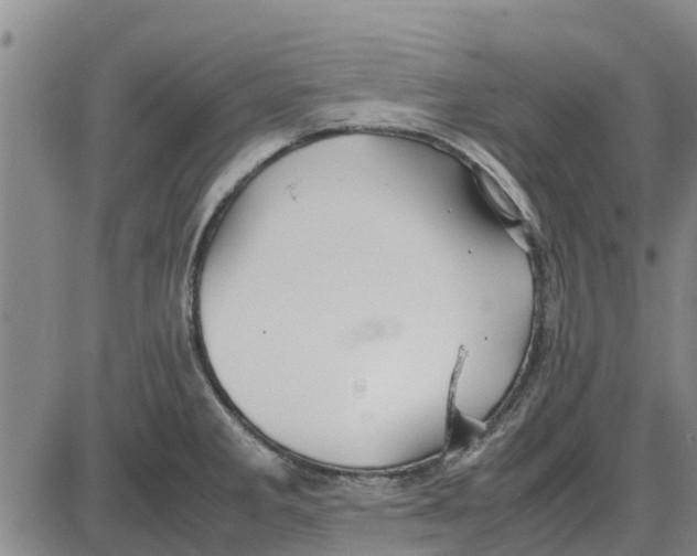 X0000085071285200704021401