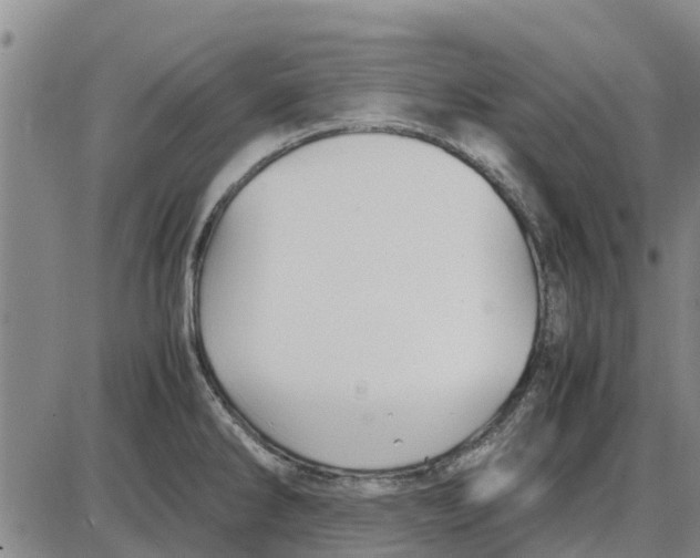 X0000085071286200704021401