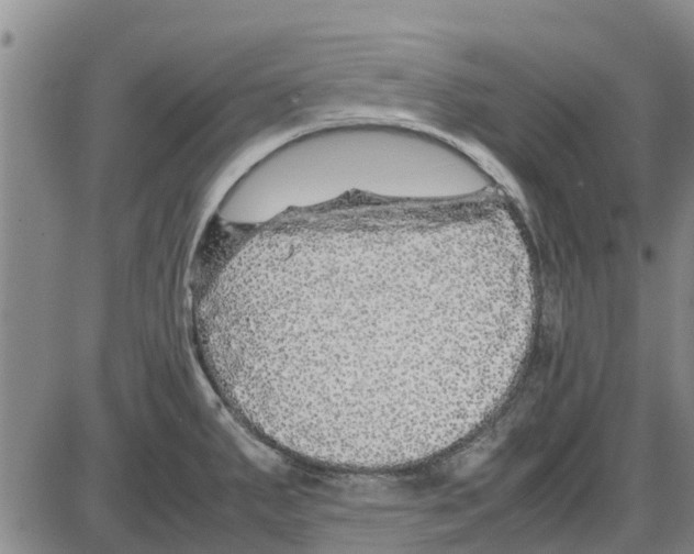 X0000085071287200704021401