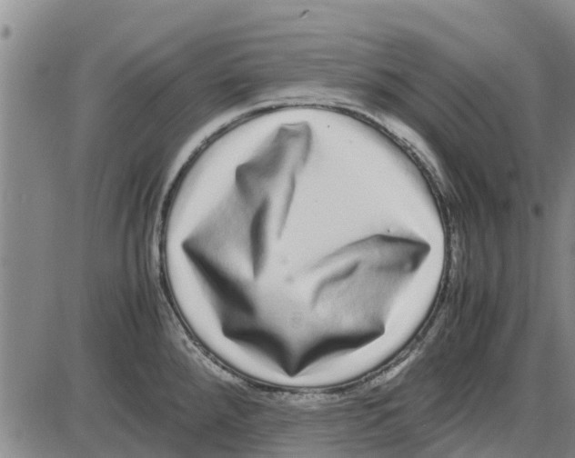 X0000085071288200704021401