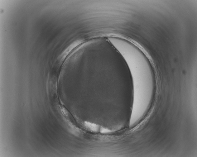 X0000085071289200704021401