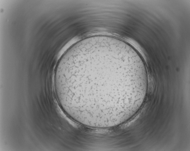 X0000085071290200704021401