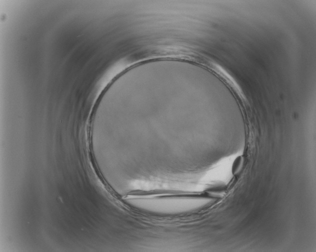 X0000085071291200704021401