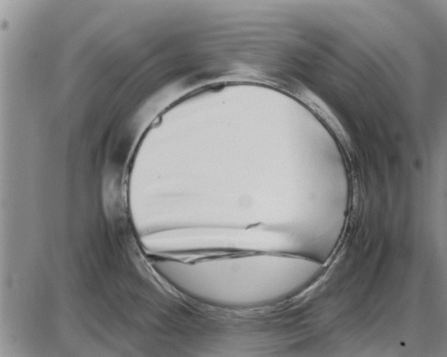 X0000085071292200704021401