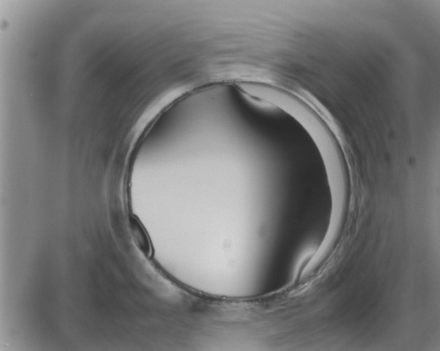 X0000085071293200704021401