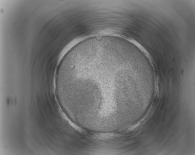 X0000085071294200704021401