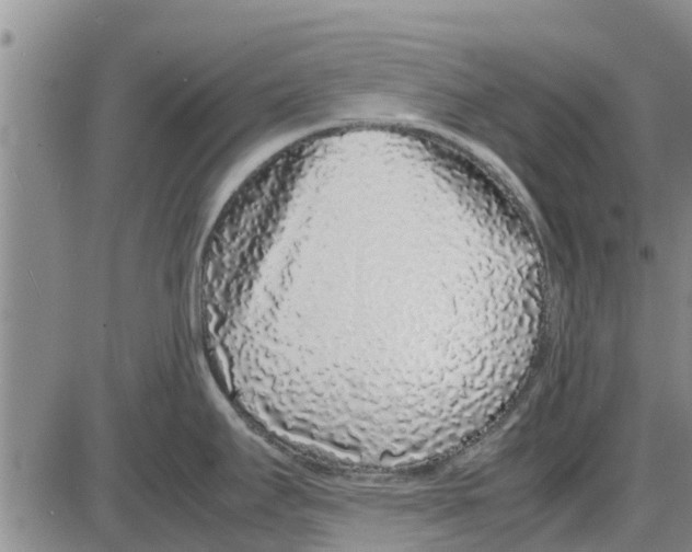 X0000085071295200704021401