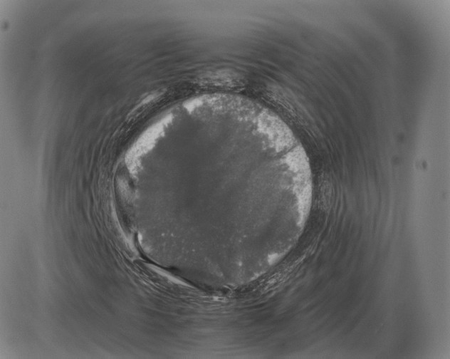 X0000085071297200704021400