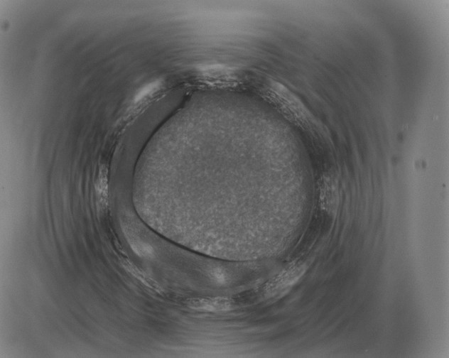 X0000085071298200704021400