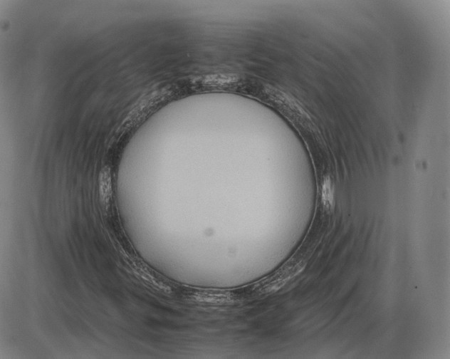 X0000085071299200704021400