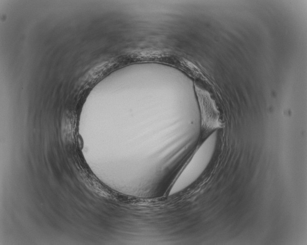 X0000085071300200704021400