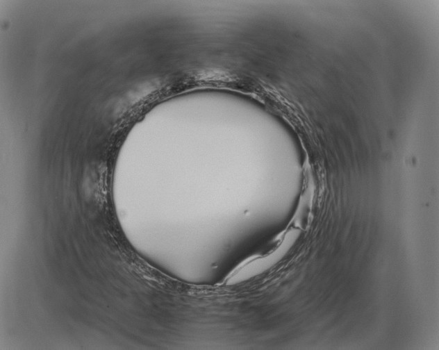 X0000085071301200704021400