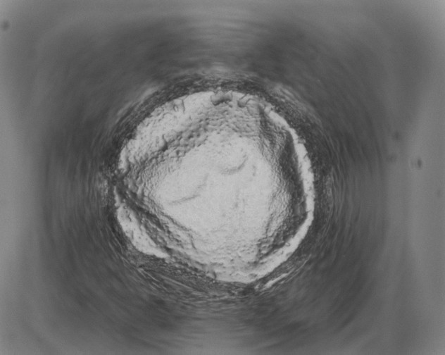 X0000085071302200704021400