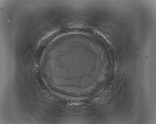 X0000085071303200704021400