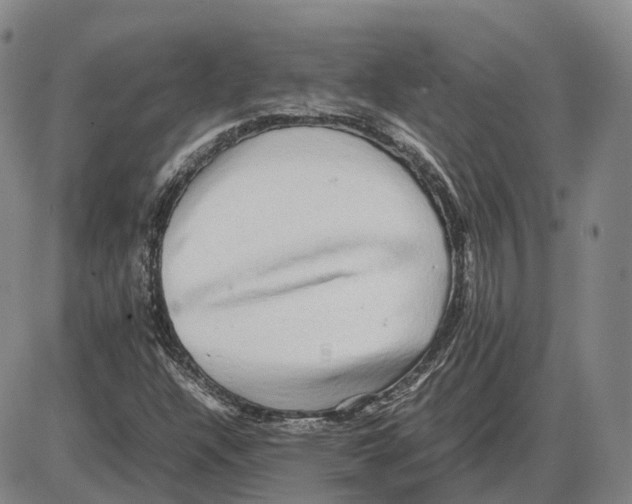 X0000085071304200704021400