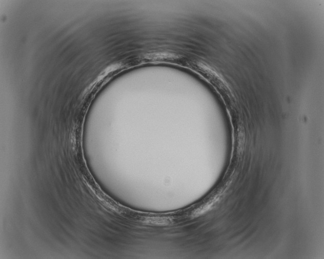 X0000085071305200704021400