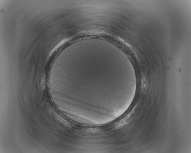 X0000085071306200704021400