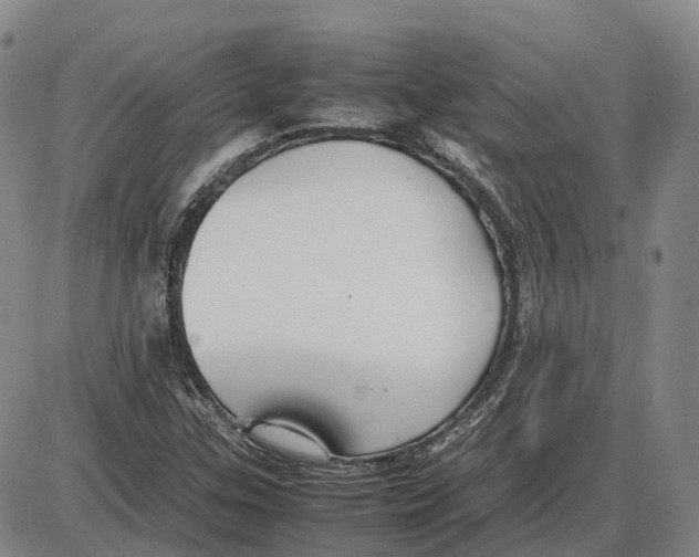 X0000085071307200704021400