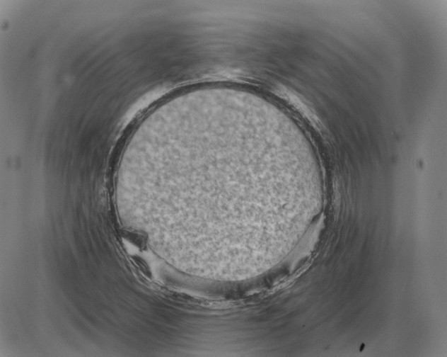 X0000085071308200704021400