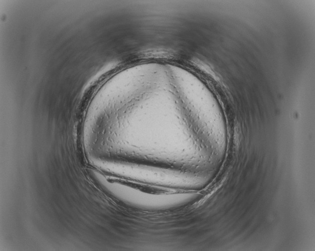 X0000085071309200704021400