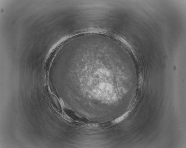 X0000085071310200704021400