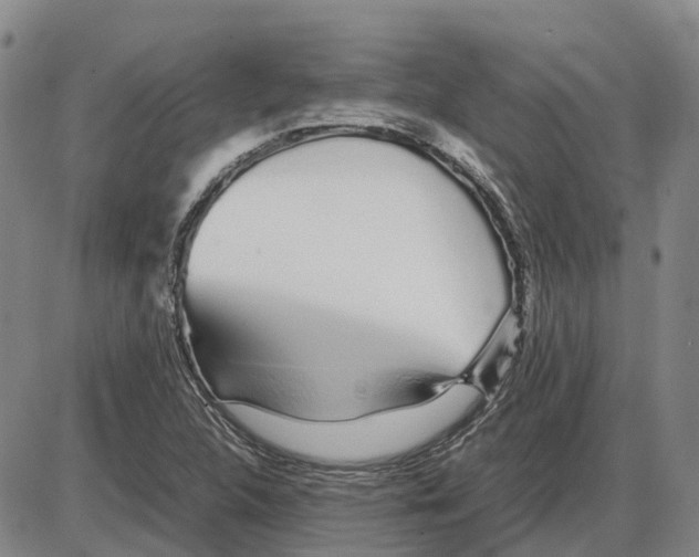 X0000085071312200704021400