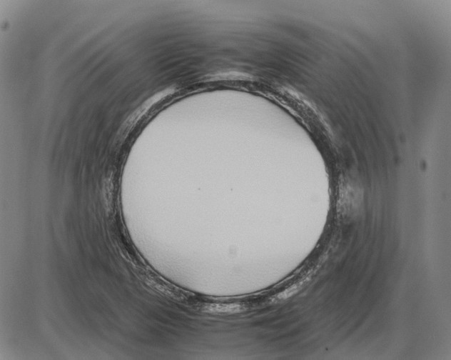 X0000085071313200704021400