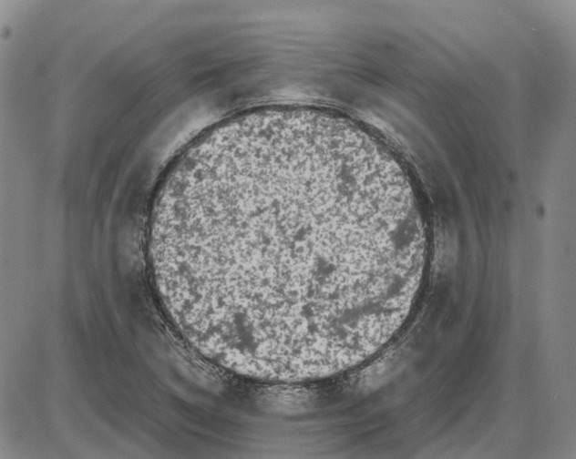 X0000085071314200704021400