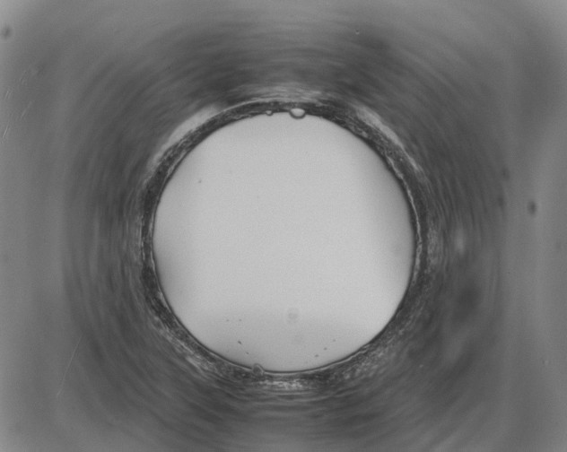 X0000085071315200704021400