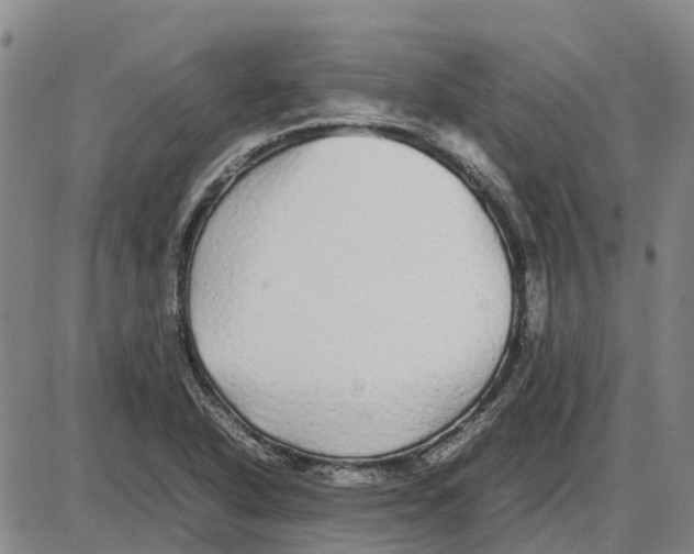 X0000085071318200704021400