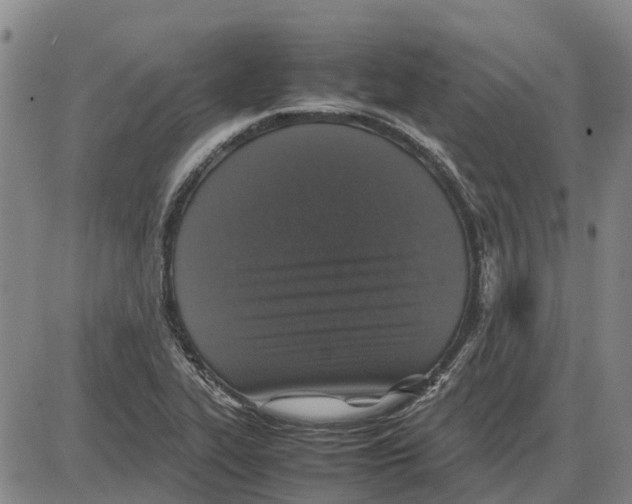 X0000085071319200704021400