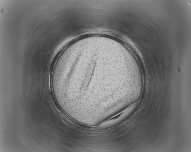 X0000085071320200704021400