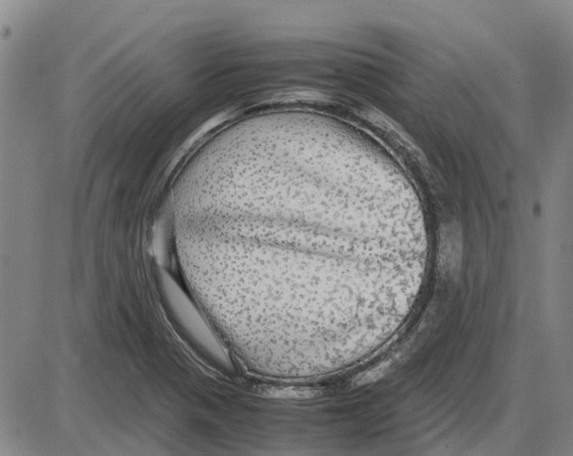 X0000085071321200704021400