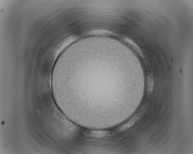 X0000085071322200704021400