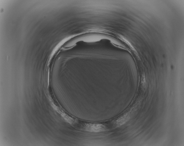 X0000085071323200704021401