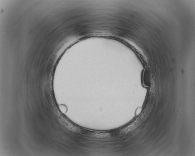 X0000085071325200704021401