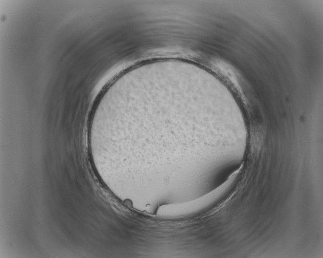 X0000085071328200704021401